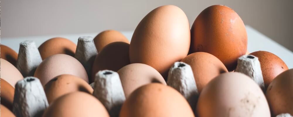 Houdbaarheid eieren (gekookt én ongekookt)