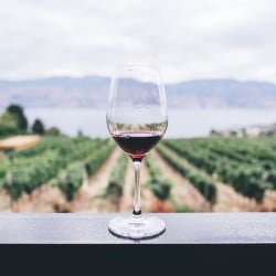 Houdbaarheid rode en witte wijn